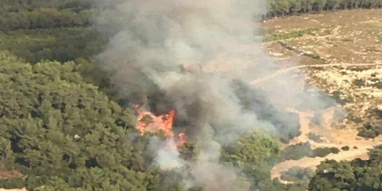 İzmir Gaziemir'de orman yangını çıktı. Havadan ve karadan müdahale başladı