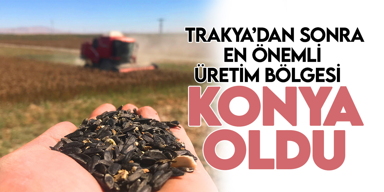 Trakya'dan sonra en önemli üretim bölgesi Konya oldu