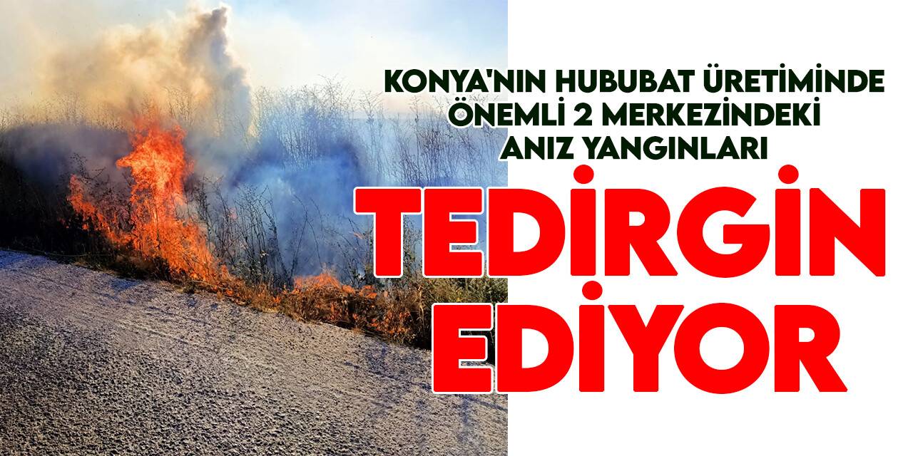 Konya'nın hububat üretiminde önemli 2 merkezindeki anız yangınları korkutuyor
