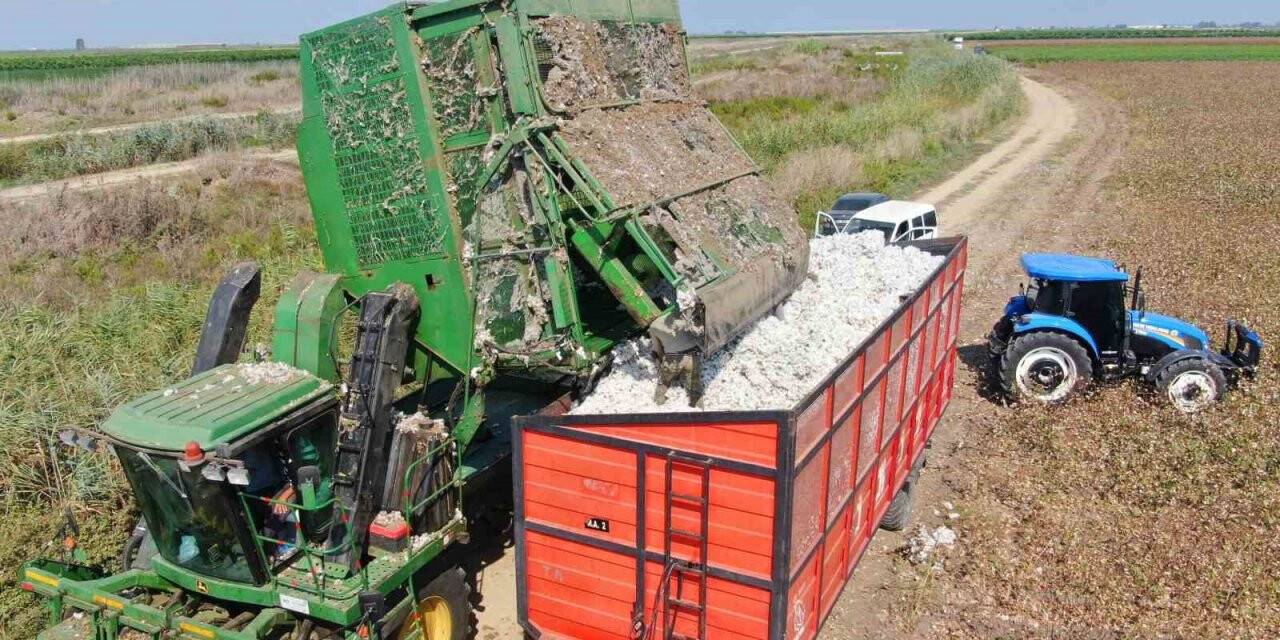 Adana’da pamuk hasadı başladı