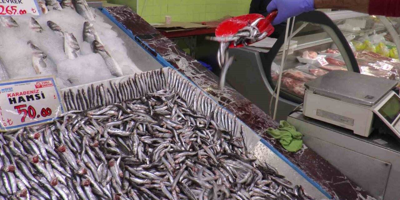 Kayseri’de hamsiye ilgi yoğun: Kilosu 50 TL