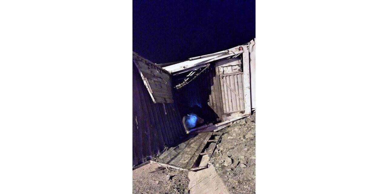 Konya'da büyükbaş hayvan taşıyan tır şarampole devrildi