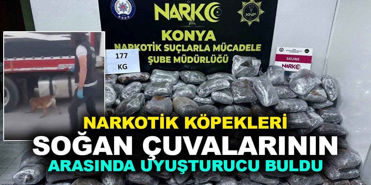 Konya'da narkotik köpekleriyle uyuşturucu operasyonu: 177 Kilo uyuşturucu ele geçirildi!