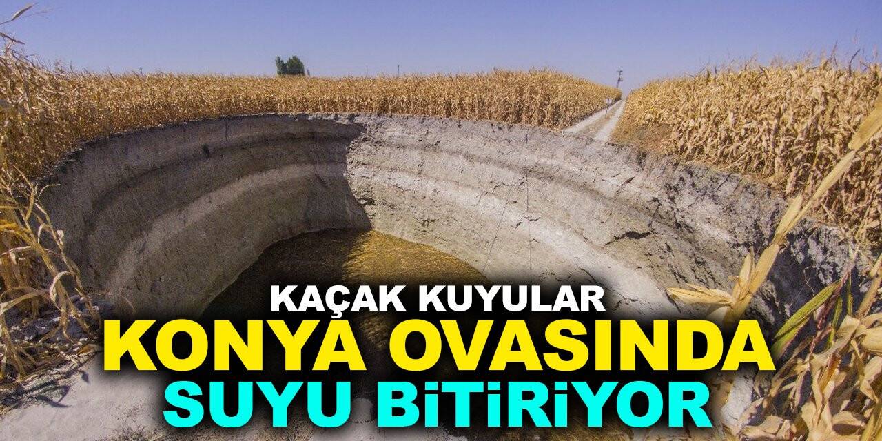 Yer altı suları çekiliyor! Konya Ovasında su bitiyor