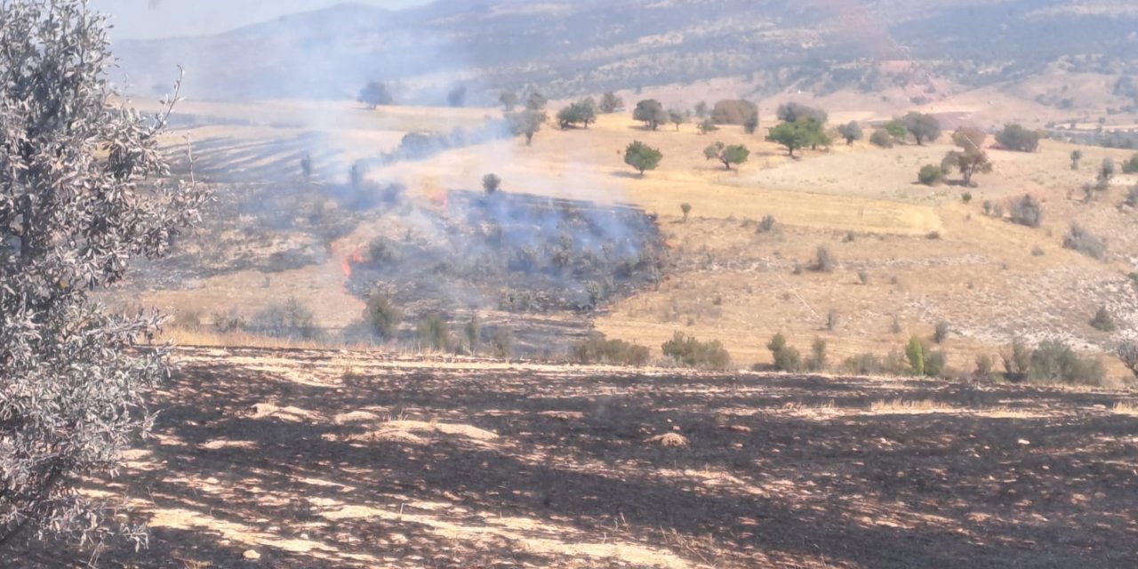 Seydişehir'de anız yangını ormana sıçradı