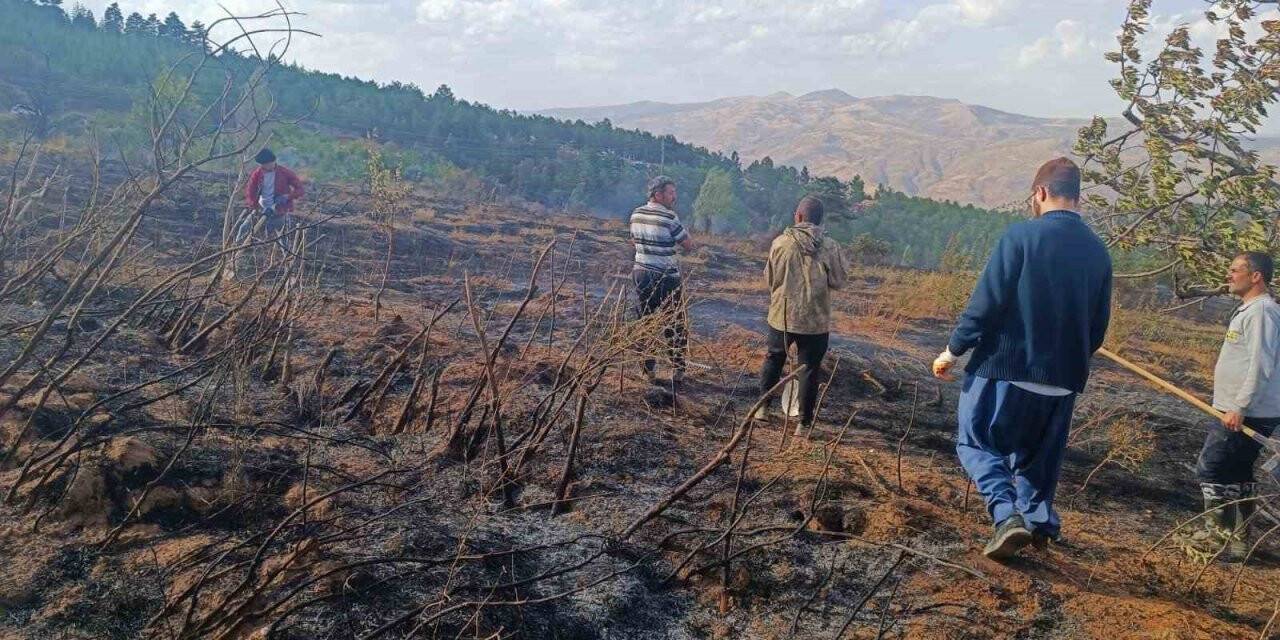 Konya Hadim'de orman yangını