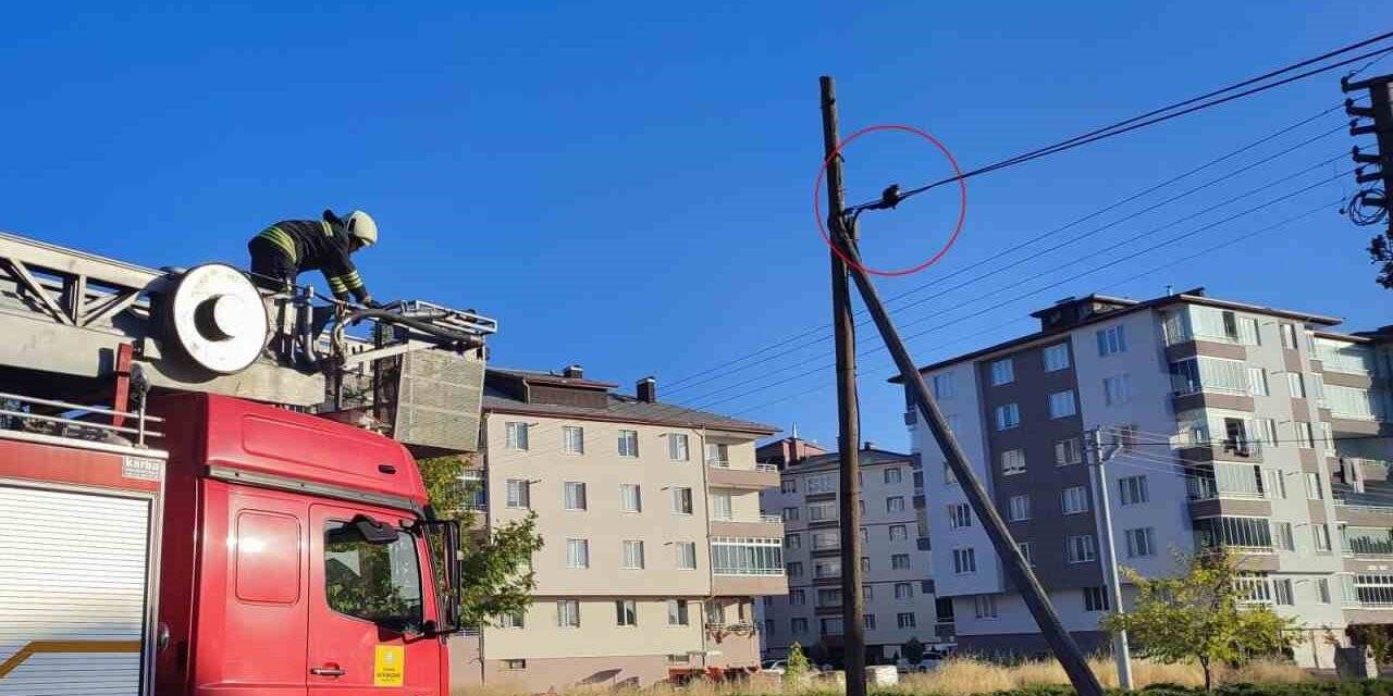 Konya İtfaiyesinden kedi operasyonu