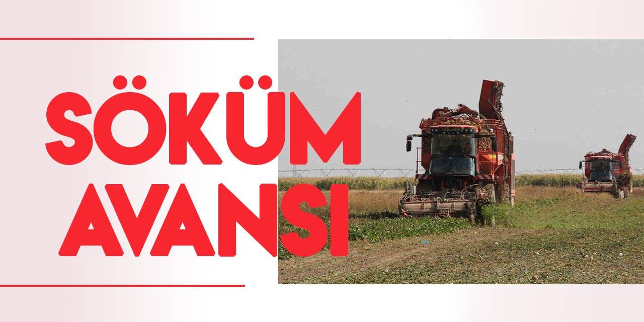 3 Ekim'de hesaplarda: Konya Şeker’den pancar üreticisine söküm avansı!