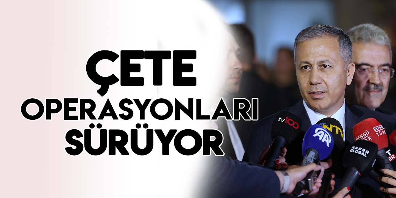 "Kafes Operasyonu"yla çökertilen suç örgütlerinin listesi