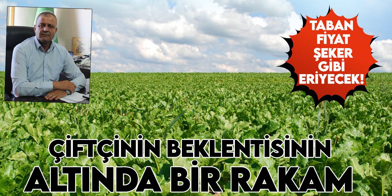 Çiftçinin beklentisinin altında bir rakam: Taban fiyat şeker gibi eriyecek!