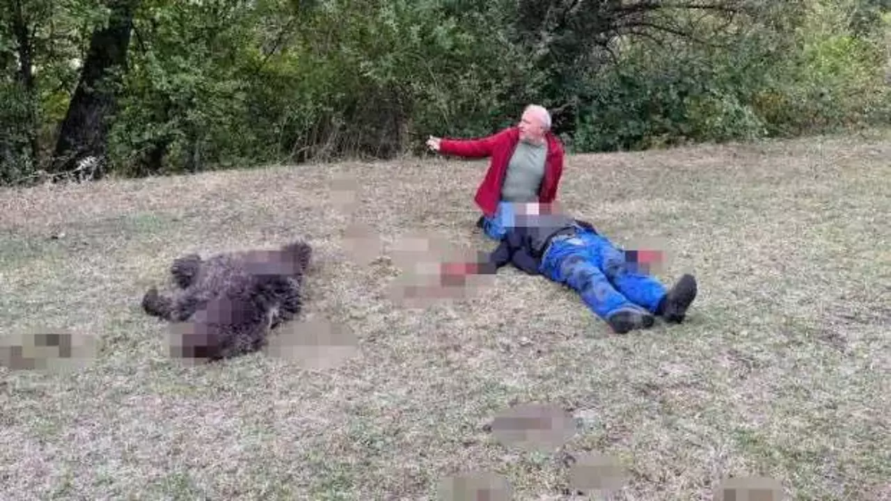 81 yaşındaki adama ayı saldırdı! Komşuları bağrışlarına geldi