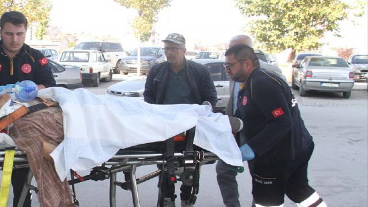 Konya'da ceviz ağacından düşen kişi hayatını kaybetti