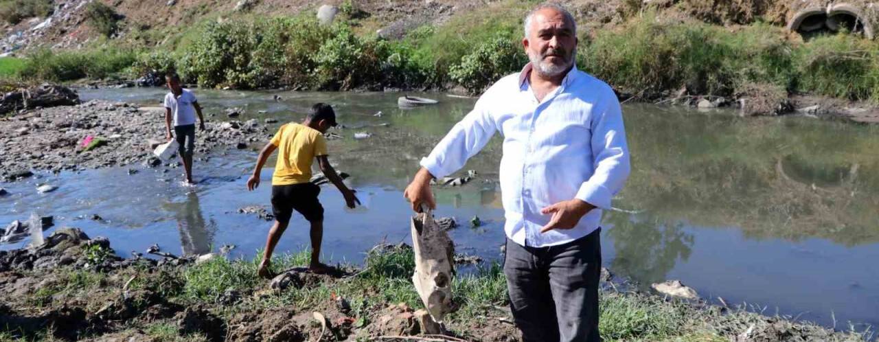 Pes dedirtti: At kemikleri, ölü hayvanlar ve lağım suyu arasında av