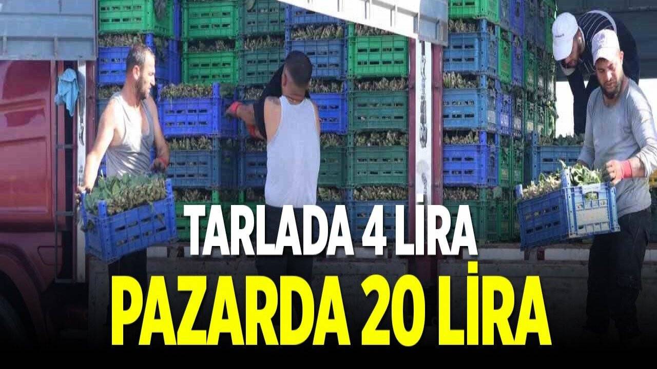 Ürünler hasat edilmeye başlandı: Tarlada 4 TL, pazarda 20 TL