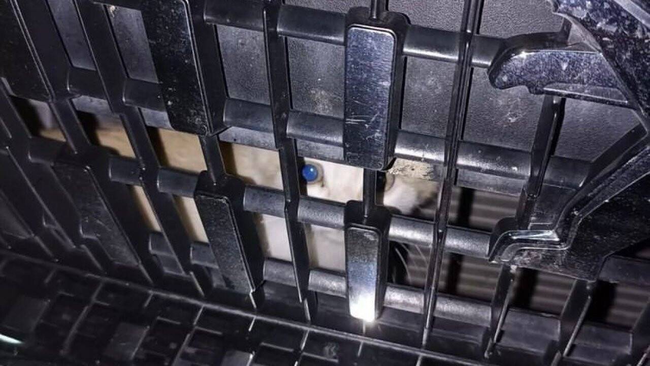 Kaputa sıkışan kediyi sahiplendi