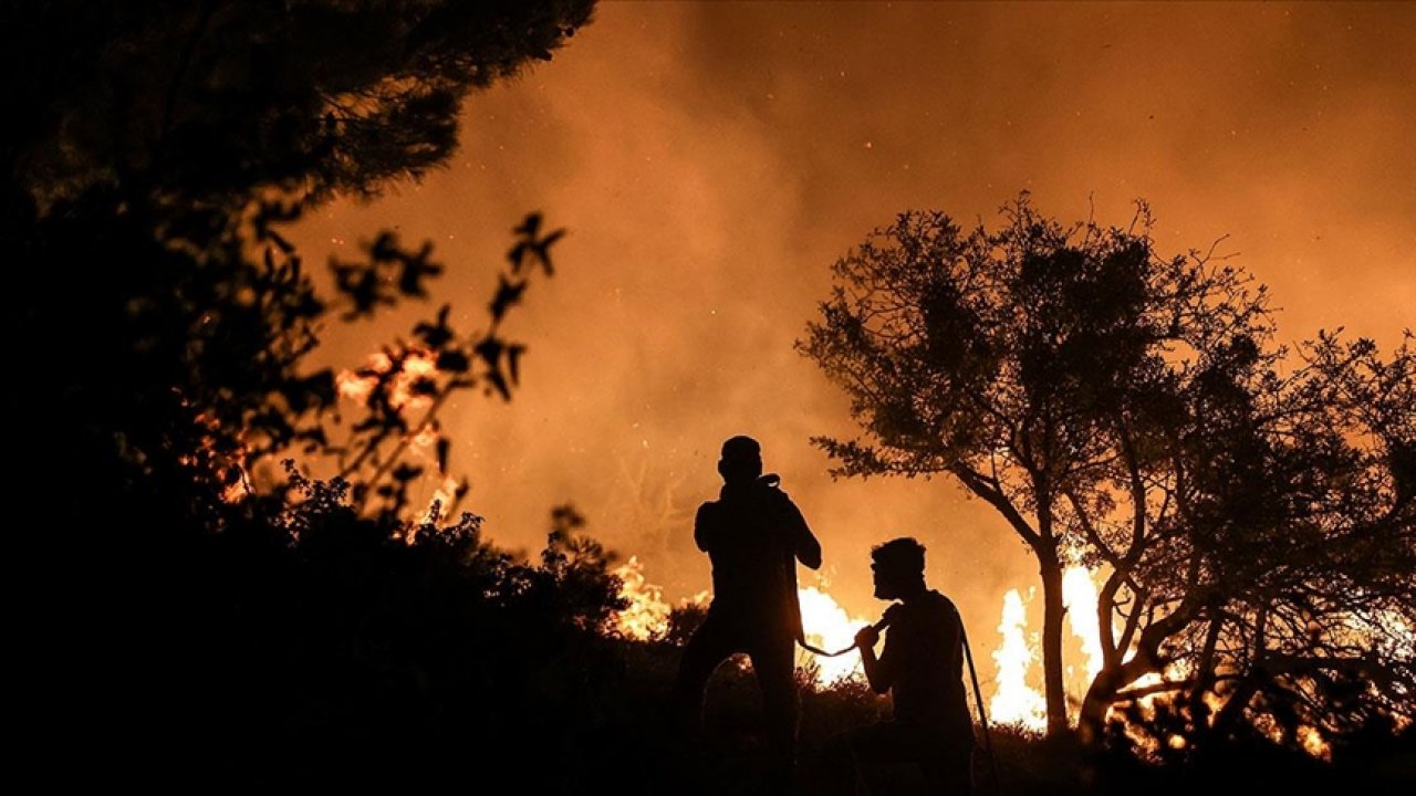 Bu yıl  2 bin 197 orman yangınına müdahale edildi