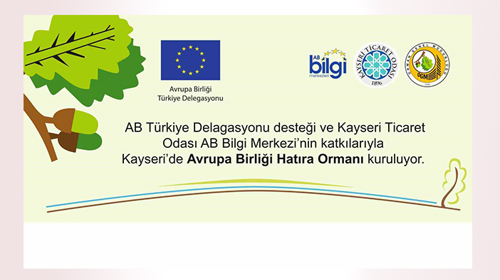 Konya'nın da olduğu 19 şehirde 170 bin ağaç dikilecek