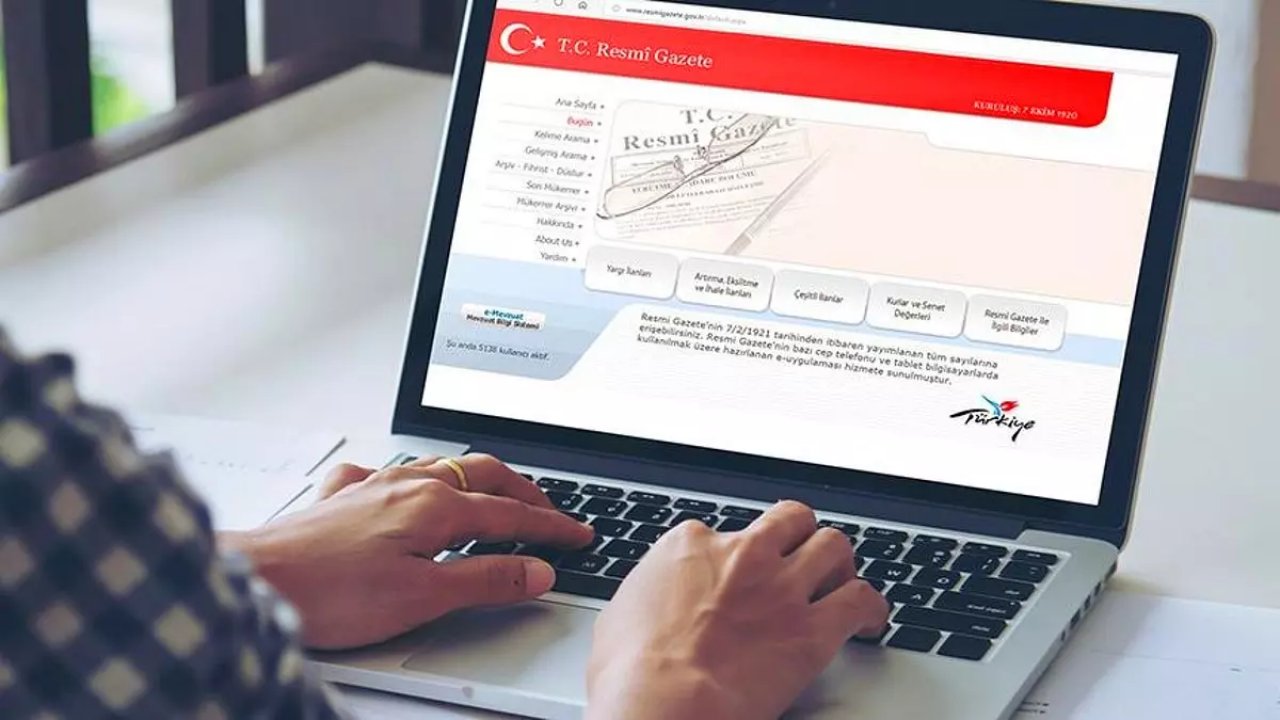 Türk Yatırım Fonu Resmi Gazete'de onaylandı
