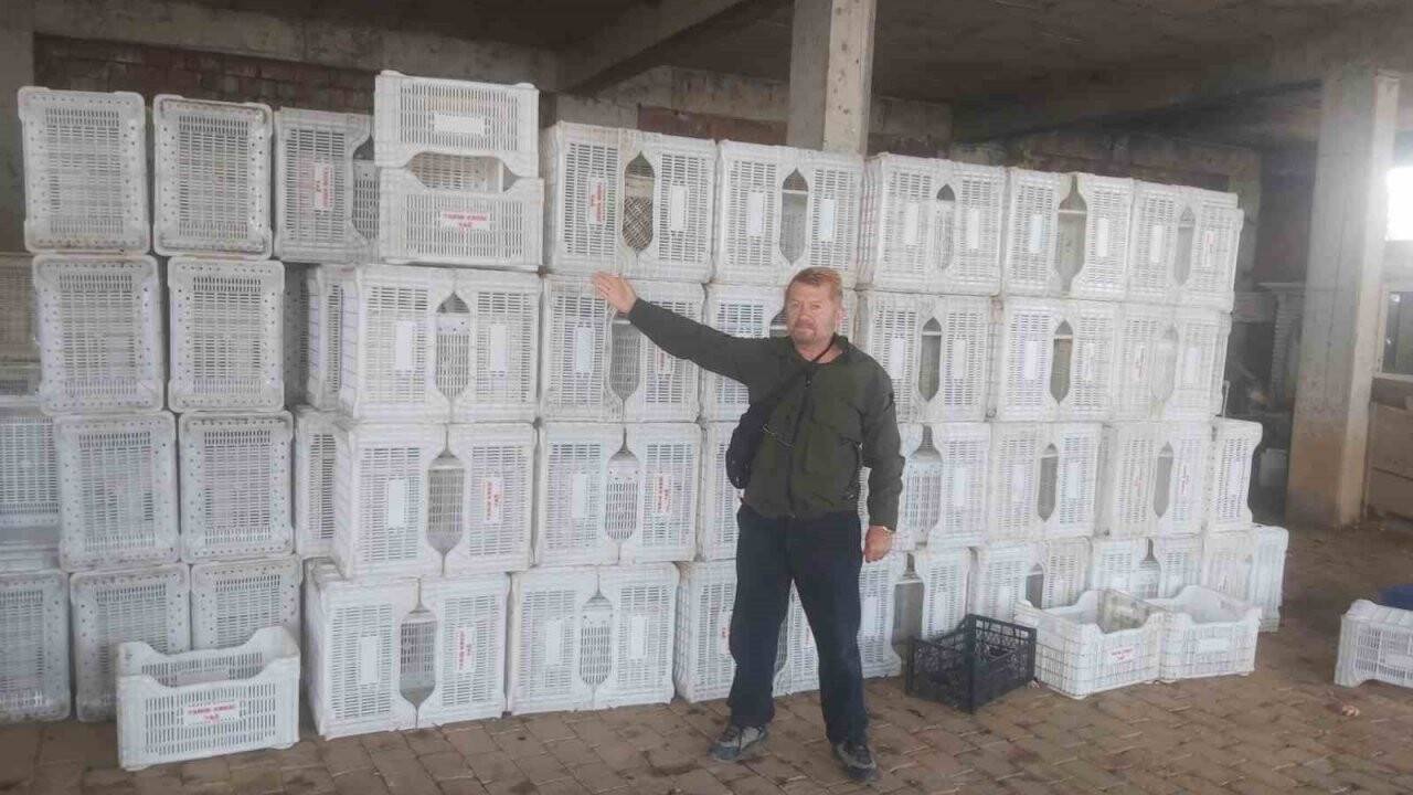 Zeytin üreticisini 90 liraya mahkum etti