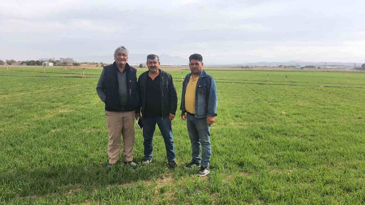 Karapınar'da mısır ve şekerpancarı hasadı başladı