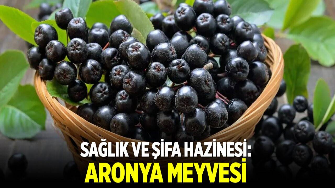 Sağlık ve şifa hazinesi: Aronya meyvesi