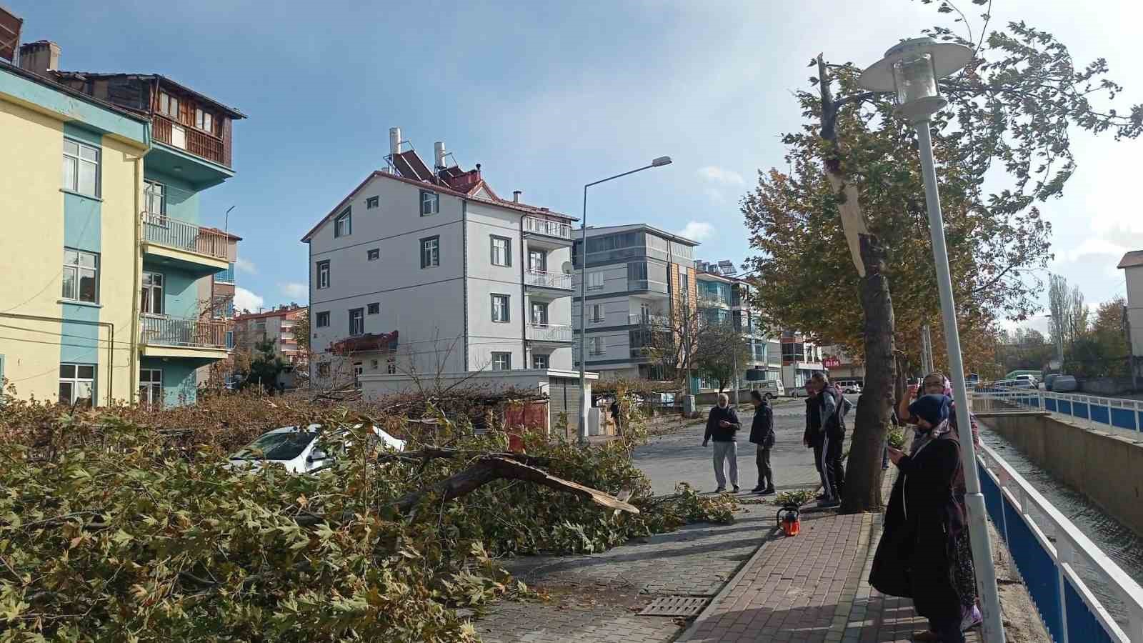 Beyşehir'de şiddetli fırtına: Ağaç kırıldı, otomobile devridli