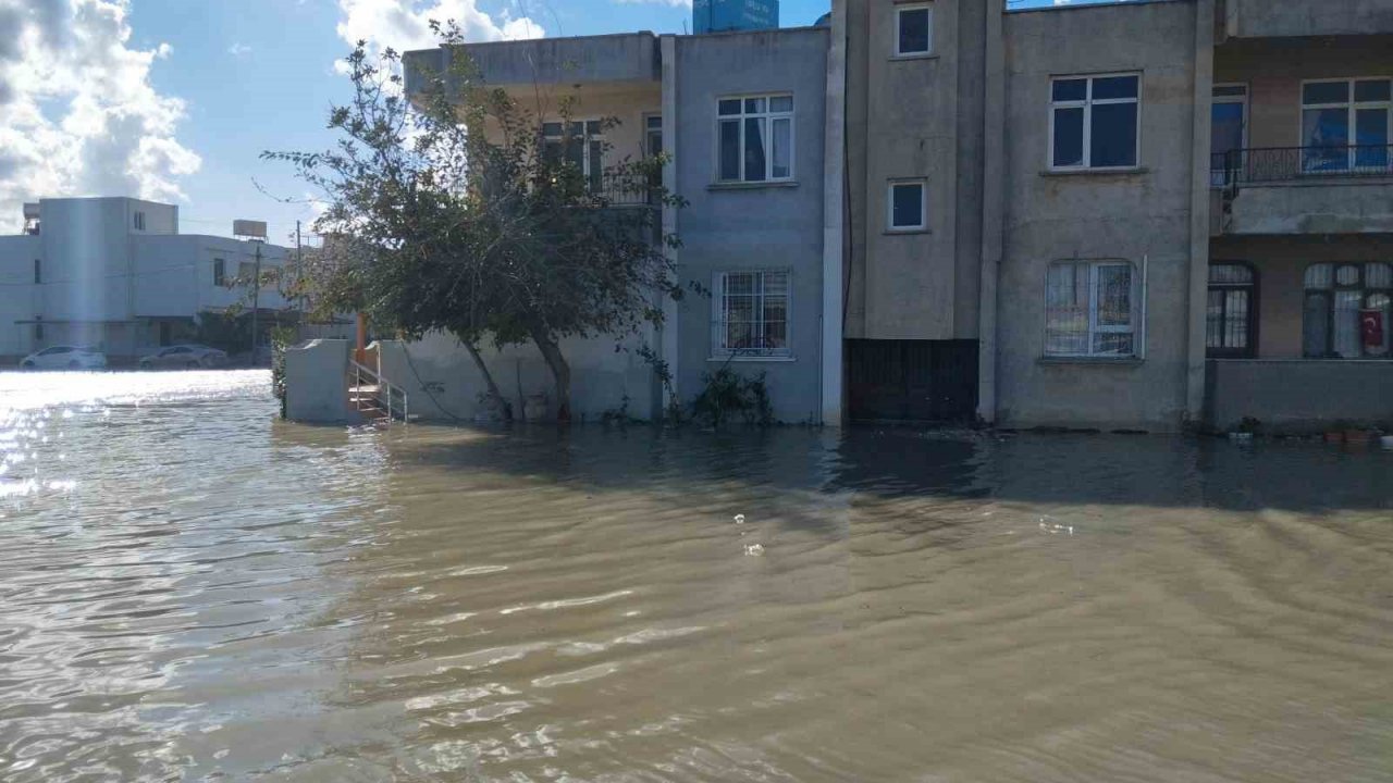 Yağışlar evleri sular altında bıraktı