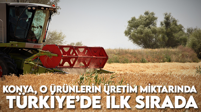 Tarım başkenti Konya, o ürünlerin üretim miktarında  Türkiye’de ilk sırada
