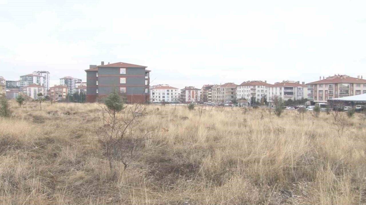 Başkent’te başıboş köpek dehşeti: "Çocuğu paramparça etmişler"