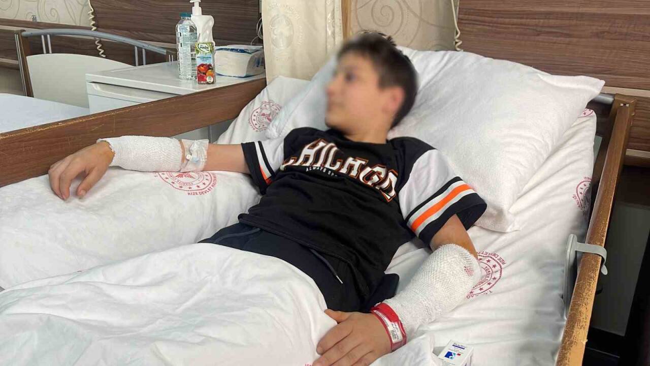 Sevdiği köpeğin saldırısına uğrayan 12 yaşındaki çocuk konuştu: “Köpekle oyun oynarken direkt kollarıma saldırdı”