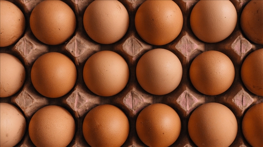 Rusya: Türkiye’den vergisiz ithal edilecek yumurtalar iki üç haftaya gelecek