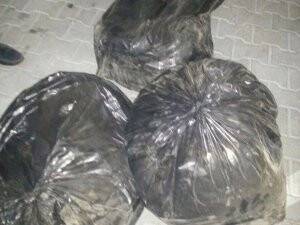 Balkabağından esrar çıktı