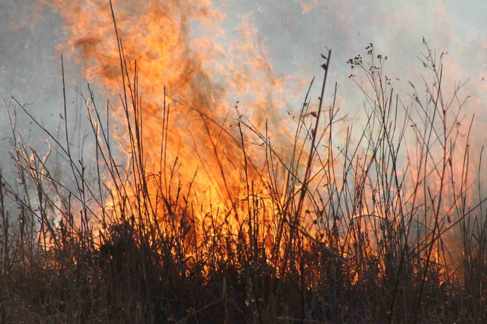 Beyşehir Gölü sazlıklarında yangın