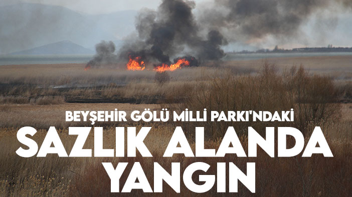 Beyşehir Gölü Milli Parkı'ndaki sazlık alanda yangın