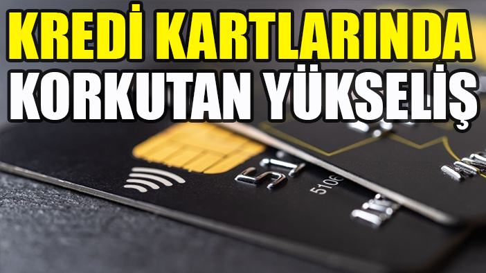 Kredi kartlarıyla ilgili kaygılandıran gerçek ortaya çıktı