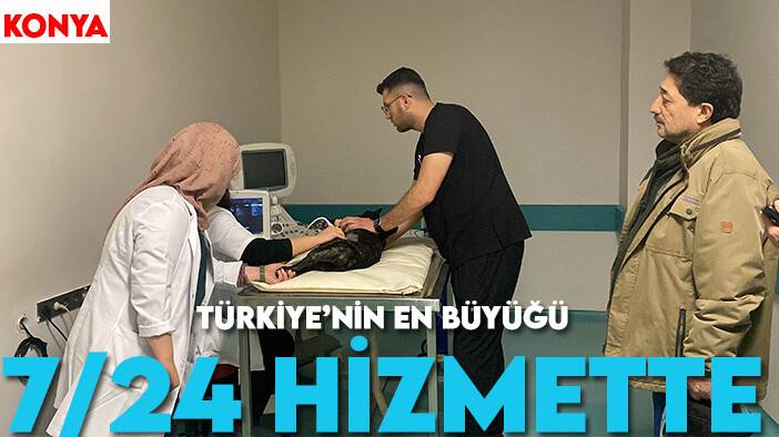 Konya'daki Türkiye’nin en büyük hayvan hastanesi 7/24 hizmette