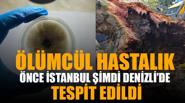 Ölümcül hastalık İstanbul’dan sonra Denizli’de tespit edildi