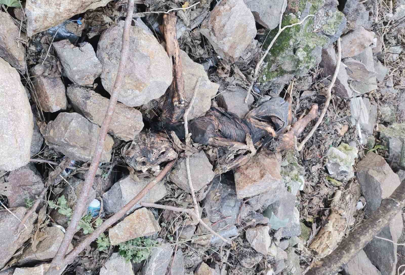 İzmir'de hurdacı insan kemikleri buldu
