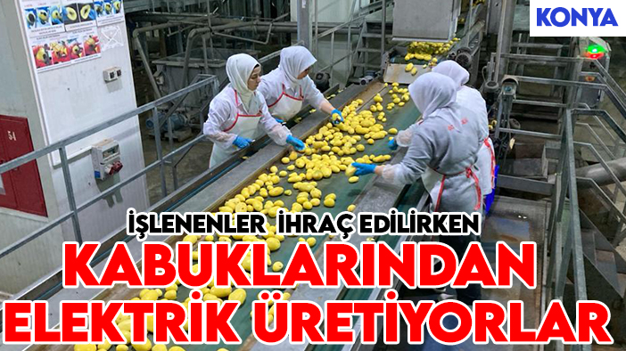 Konya'daki fabrika işlenen patatesi ihraç edip kabuklarından elektrik üretiyor