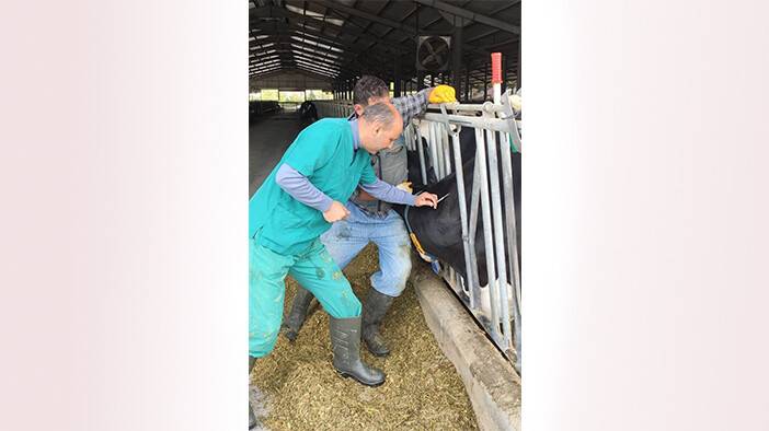 Ari işletmelerde kontroller sürüyor