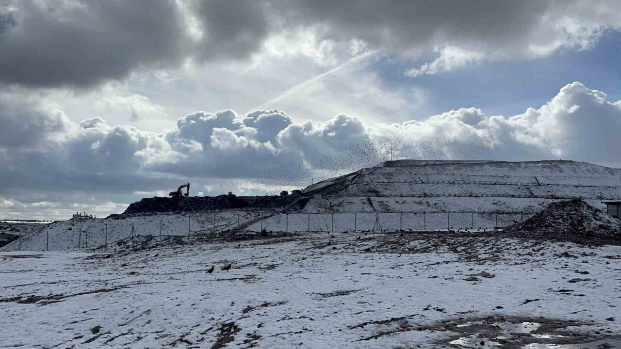 Çöplükten bebek cesedi çıktı