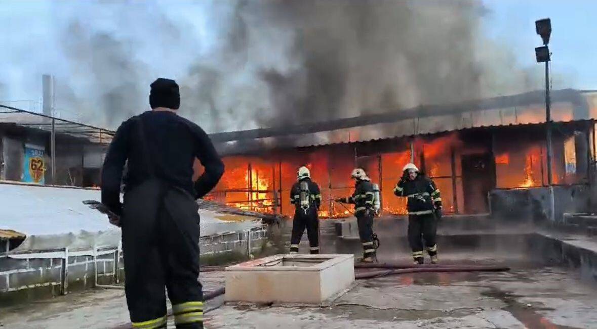 Güvercin oteli alevlere teslim oldu: Yüzlercesi yandı!