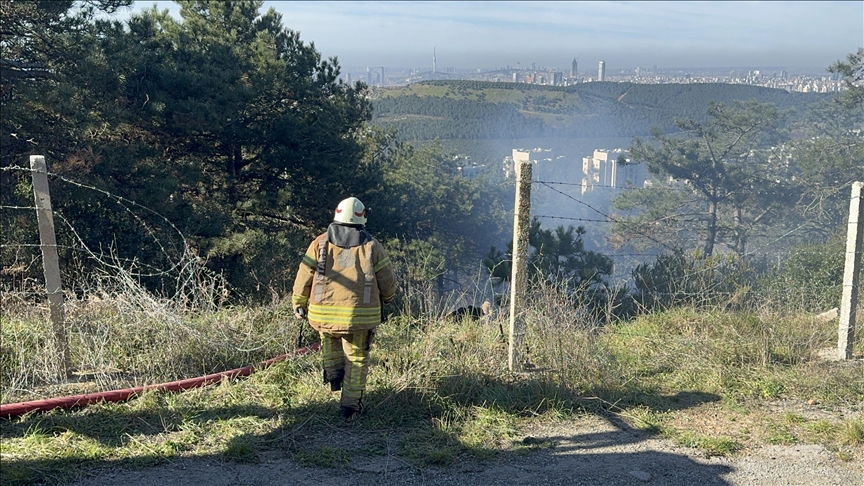 İstanbul'da yangın alarmı: Ormanlık alan tehlike altında!