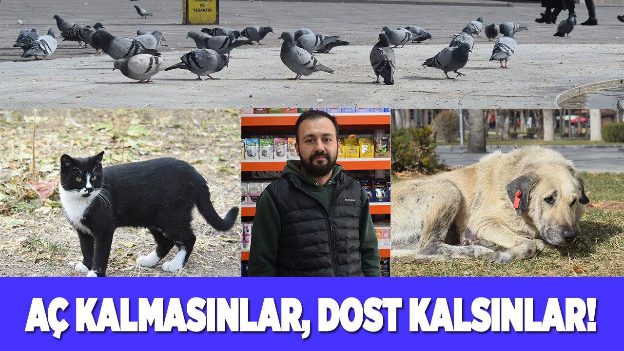 Aç kalmasınlar, dost kalsınlar!