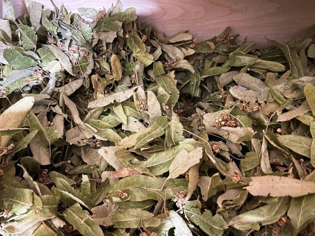 Konya'lı aktardan öneri: Mevsimsel hastalıklara karşı 'baharat çayı'