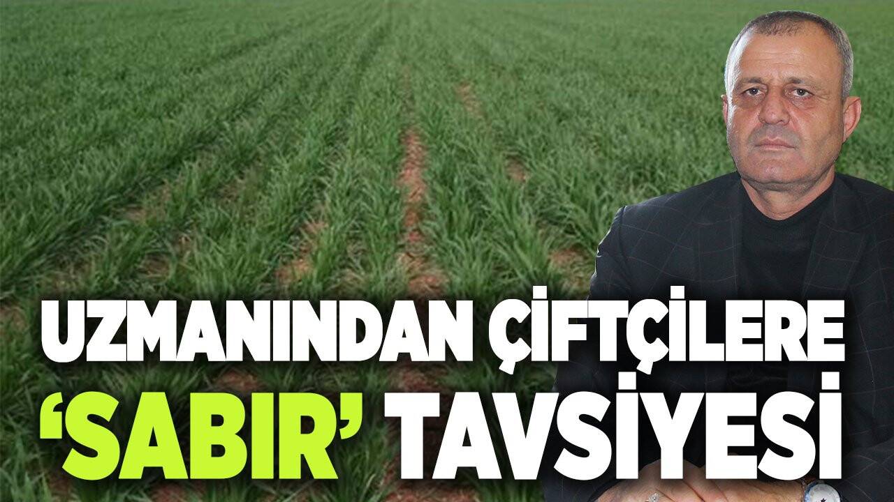 Uzmanından çiftçilere ‘sabır’ tavsiyesi