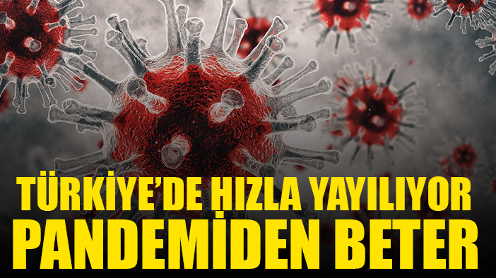 Türkiye'de korkutan hastalık yayılıyor: Aynı pandemi gibi