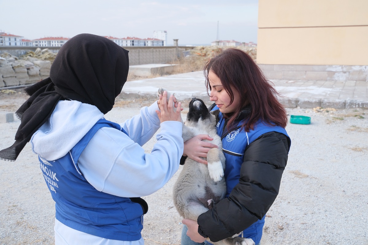 Konya'da sevgi eli sokak köpeği ve yavrularına dokundu