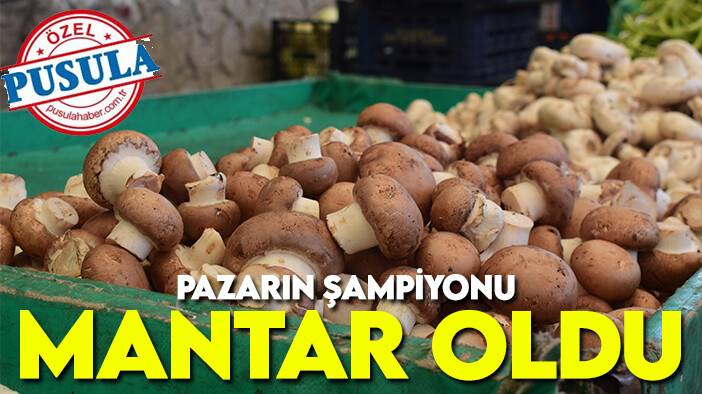 Pazarın şampiyonu mantar oldu