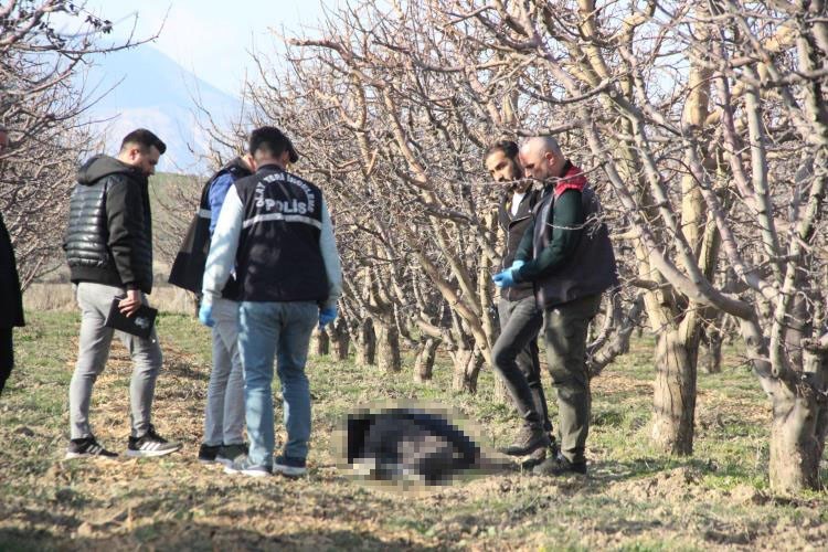 Karaman'da elma bahçesinde ölüm